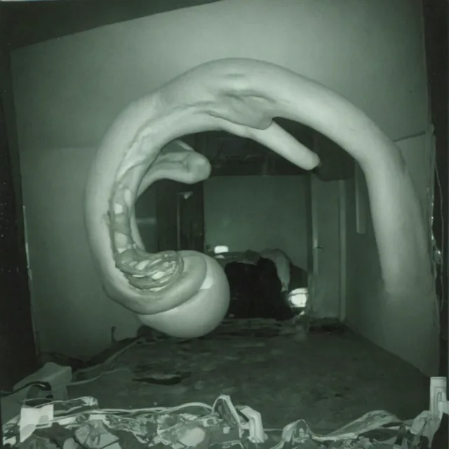 A night-vision green interior. A vast smooth flesh-toned tube arcs through the room like an intestine or elephantine trunk, coiling back on itself at the left where it opens into a ribbed mouth. Debris and cabling litter the floor. Grainy, surveillance-like, the scale ambiguous.