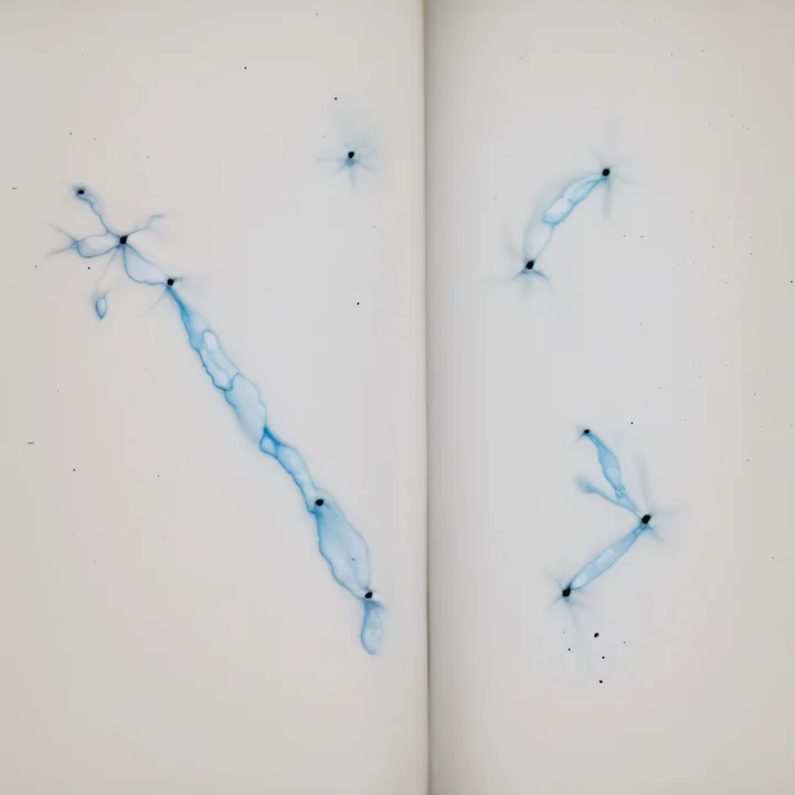 An open white book or hinged diptych photographed flat. On each leaf, branching blue filaments spread like neurons, river deltas or star charts, with small dark nodes at the junctions and a scatter of specks. Pale, clinical, almost empty of everything else.